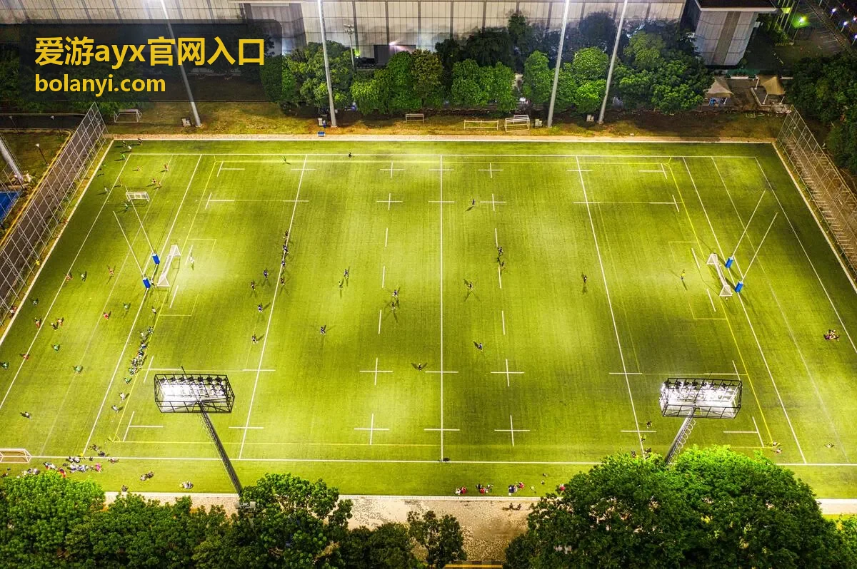 爱游ayx官网入口账号与登录状态的核对示意画面